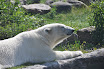 DSC_0126-1.JPG