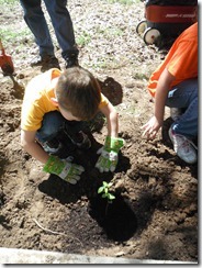 Planting6