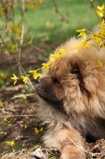 Ohh - it's tickling my nose.