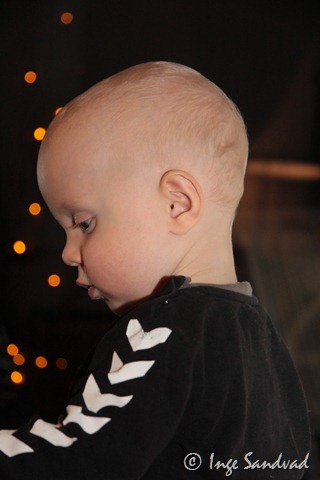 [IMG_6714%255B4%255D.jpg]