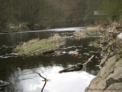 IMG_0042