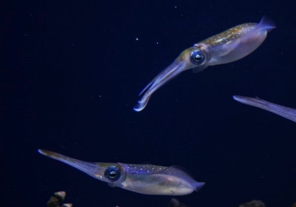 [20150313-DSC00315%255B4%255D.jpg]