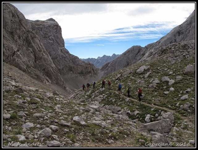 Picos 712 Picos 712