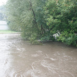 This is the view at the end of our street. From the dead end. The tree on the far left is usually on the bank.