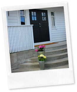 IMG_2391 IMG_2391