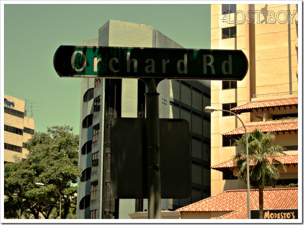 orchard
