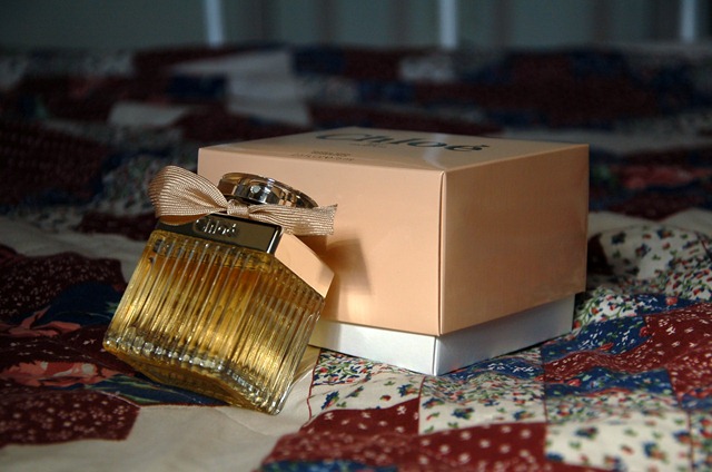 [DSC_0040a3.jpg]