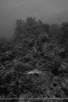 IMG_9082-2