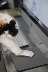 And click there...