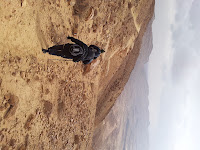 20120219_134441.jpg