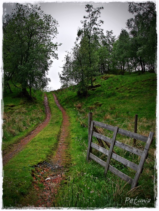 Himmelsk kjerreveg