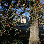 photoIMG_2595.jpg