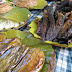 Grilled fish in High Ponds Resort
