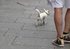 'Matilda' couldn't stay too long though...she was off to get some new clogs...2 pair...