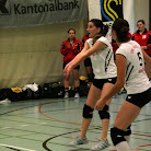 img017.jpg