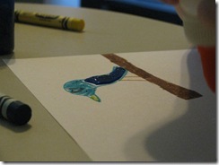 IMG_7870 IMG_7870
