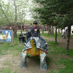 P1090654.JPG