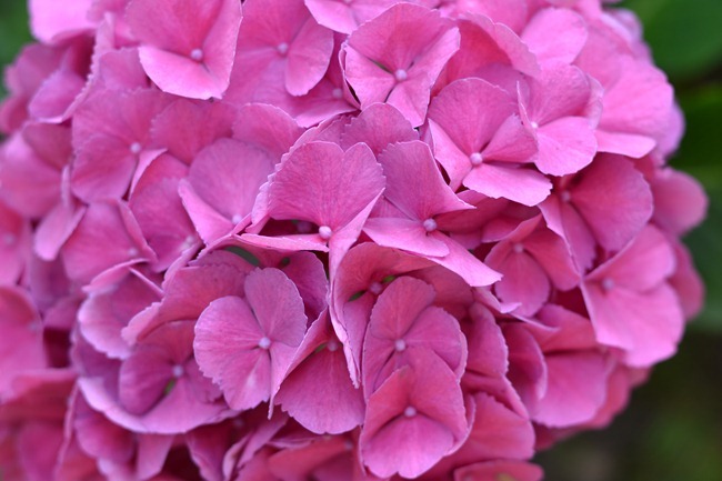 DSC_0256 DSC_0256