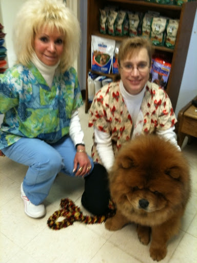 As a precaution, Karen took me to the Blue Ridge Veterinary Office to get microchipped. I was a little nervous because I wasn't sure what that meant, but Vet Tech Melani Bowman and Dr. Carol Filchner made me feel at ease! As a precaution, Karen took me to the Blue Ridge Veterinary Office to get microchipped. I was a little nervous because I wasn't sure what that meant, but Vet Tech Melani Bowman and Dr. Carol Filchner made me feel at ease!