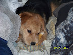 100_2260.JPG