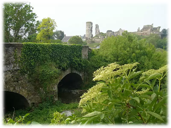 image image