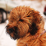 Abi - DSC_0165.jpg