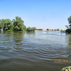 IMG_7784.JPG