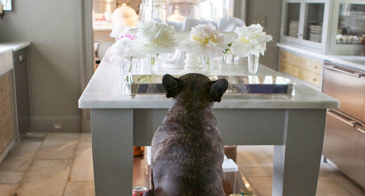 There are silver pieces and lovely, fragrant peonies decorating the servery. One fantastic bloom per glass is so elegant. There are silver pieces and lovely, fragrant peonies decorating the servery. One fantastic bloom per glass is so elegant.