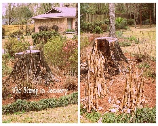 House Updates in January 2013