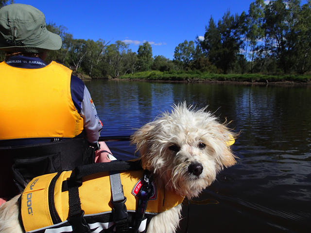 [image121%255B1%255D.png]