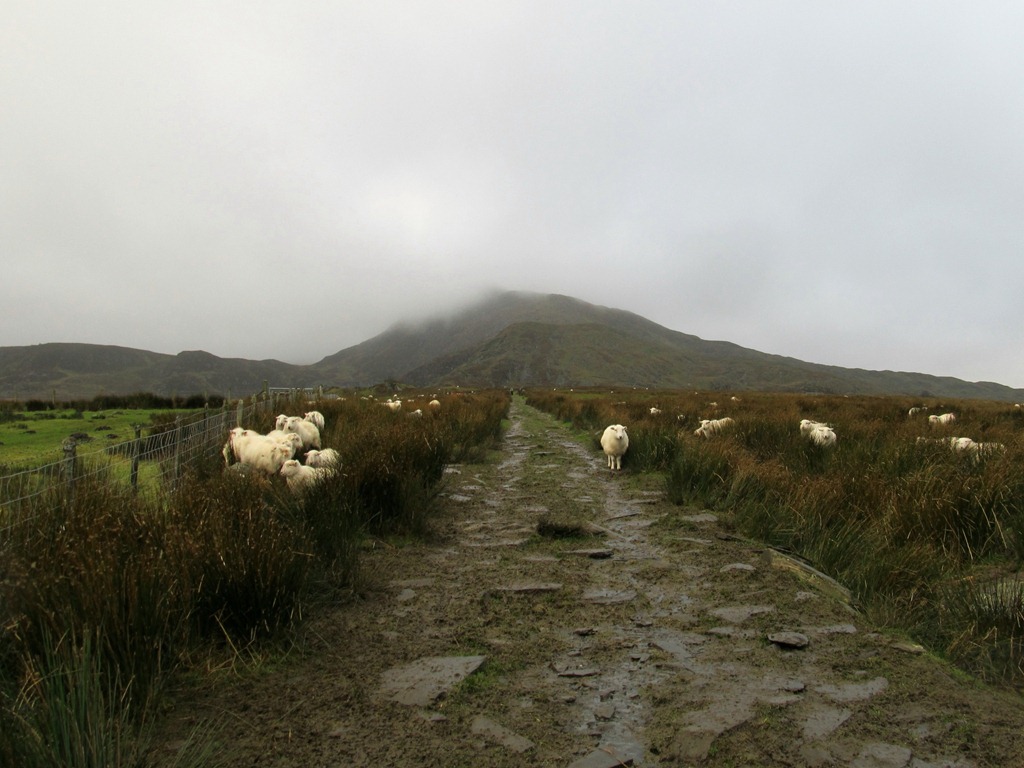 [IMG_00505.jpg]