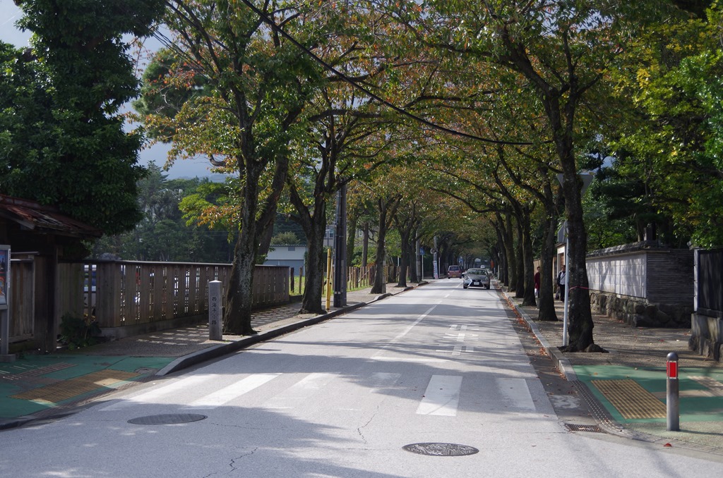 [IMGP31613.jpg]