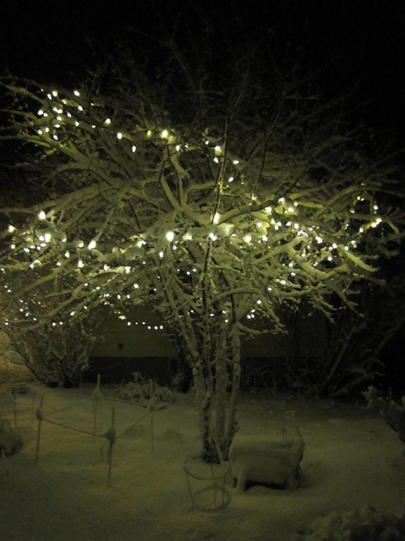 [20120224_snow-lights-snowman_009%255B3%255D.jpg]