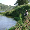 dsc05233.jpg