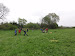 DSC02585.JPG