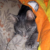 P1000136.jpg