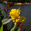 DSC_0477.JPG