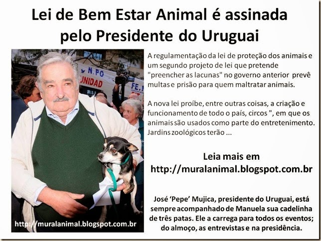 Lei de Bem Estar Animal é assinada