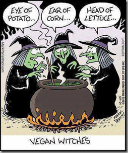 vegan witches vegan witches