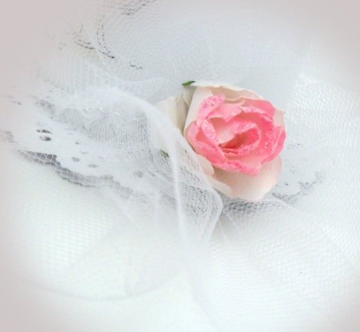 [Picture-009web%255B3%255D.jpg]