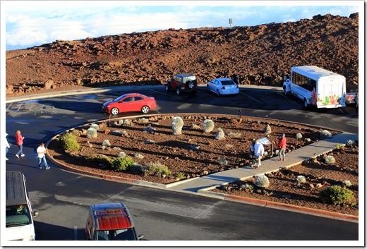 130710_Haleakala_silversword_007