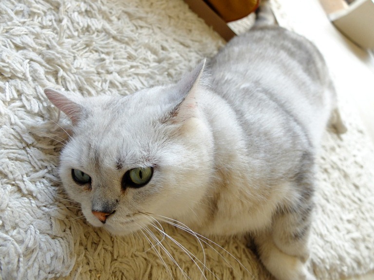 [DSCF4615%255B10%255D.jpg]