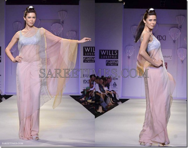 Wendell_Rodericks_Saree