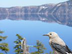 Crater Lake (93).JPG