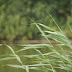 DSC02152.JPG