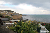 IMG_8005.JPG Photo