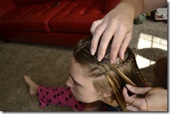 _DSC0009 _DSC0009