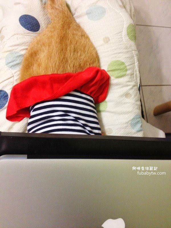 調整大小IMG_2354 調整大小IMG_2354