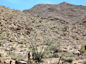 Rugged backcountry of the East Fork area of Carrizo Gorge
