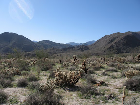 MountLaguna 056.jpg